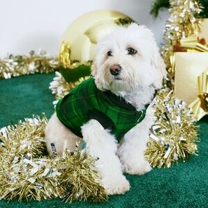 Pup Fa La La Dog Hoodie Black/Green Size Large